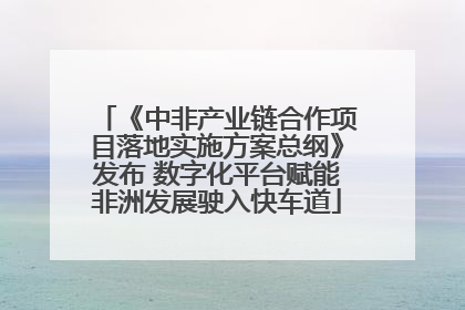 《中非产业链合作项目落地实施方案总纲》发布 数字化平台赋能非洲发展驶入快车道