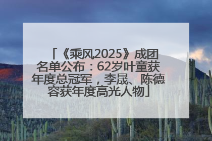 《乘风2025》成团名单公布：62岁叶童获年度总冠军，李晟、陈德容获年度高光人物