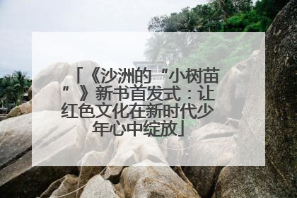 《沙洲的“小树苗”》新书首发式：让红色文化在新时代少年心中绽放