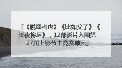 《脱缰者也》《比如父子》《长夜将尽》，12部影片入围第27届上影节主竞赛单元