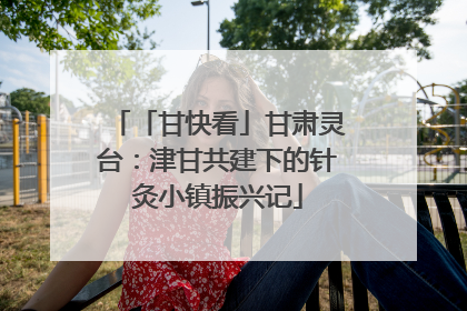 「甘快看」甘肃灵台：津甘共建下的针灸小镇振兴记
