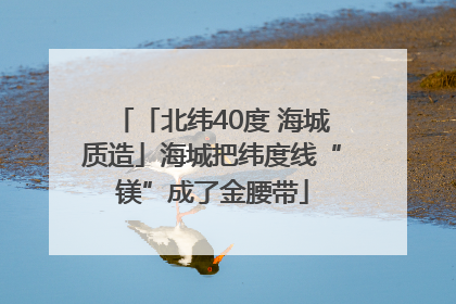 「北纬40度 海城质造」海城把纬度线“镁”成了金腰带