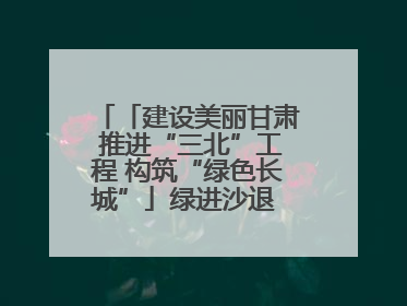 「建设美丽甘肃 推进“三北”工程 构筑“绿色长城”」绿进沙退 生态蝶变 张掖市多措并举加大防沙治沙力度