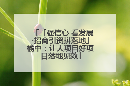 「强信心 看发展·招商引资拼落地」榆中：让大项目好项目落地见效