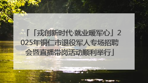 「戎创新时代·就业暖军心」2025年铜仁市退役军人专场招聘会暨直播带岗活动顺利举行