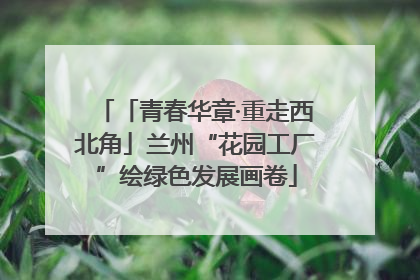 「青春华章·重走西北角」兰州“花园工厂”绘绿色发展画卷