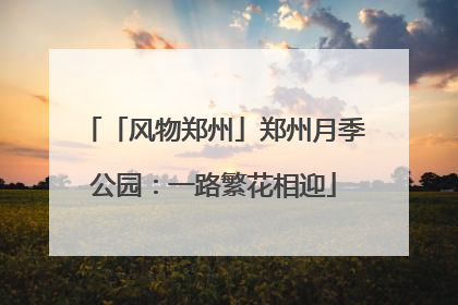 「风物郑州」郑州月季公园：一路繁花相迎