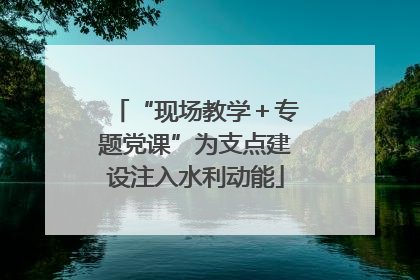 “现场教学＋专题党课”为支点建设注入水利动能