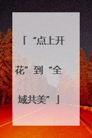 “点上开花”到“全域共美”