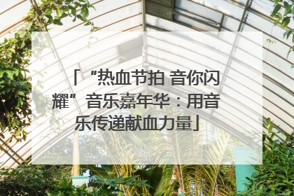 “热血节拍 音你闪耀”音乐嘉年华：用音乐传递献血力量