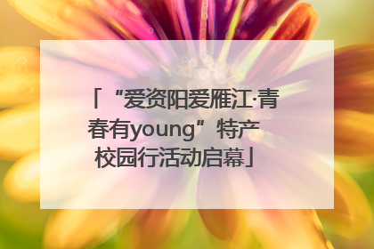 “爱资阳爱雁江·青春有young”特产校园行活动启幕