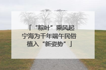 “粽叶”乘风起 宁海为千年端午民俗植入“新姿势”