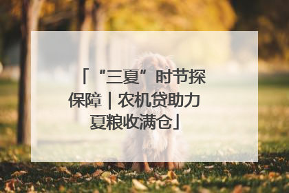 “三夏”时节探保障｜农机贷助力夏粮收满仓