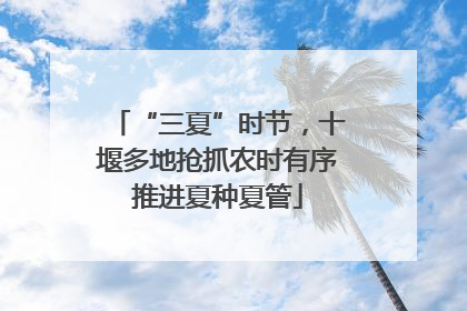 “三夏”时节，十堰多地抢抓农时有序推进夏种夏管