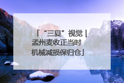“三夏”视觉｜孟州麦收正当时 机械减损保归仓