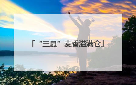 “三夏”麦香溢满仓