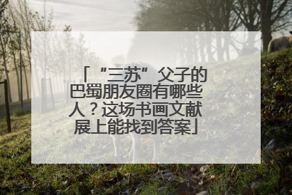 “三苏”父子的巴蜀朋友圈有哪些人？这场书画文献展上能找到答案