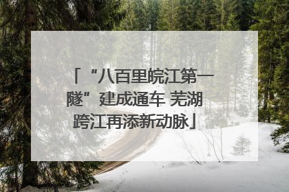 “八百里皖江第一隧”建成通车 芜湖跨江再添新动脉