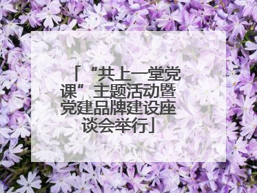 “共上一堂党课”主题活动暨党建品牌建设座谈会举行