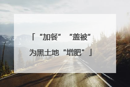 “加餐”“盖被” 为黑土地“增肥”