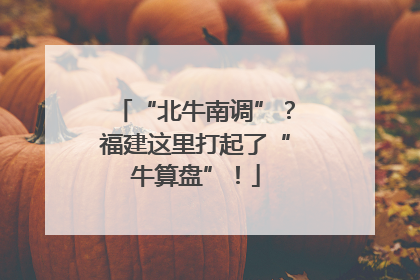 “北牛南调”？福建这里打起了“牛算盘”！