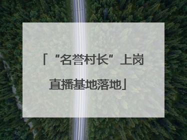 “名誉村长”上岗 直播基地落地