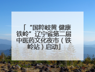 “国粹岐黄 健康铁岭”辽宁省第二届中医药文化夜市（铁岭站）启动