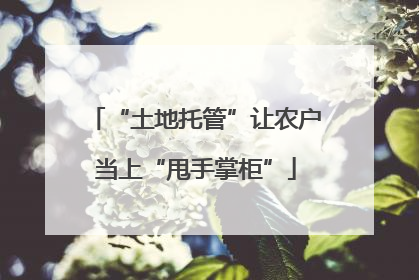 “土地托管”让农户当上“甩手掌柜”