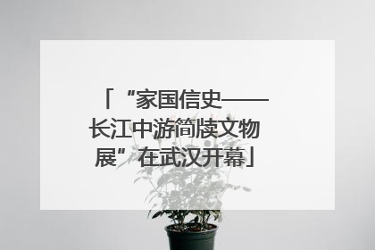 “家国信史——长江中游简牍文物展”在武汉开幕