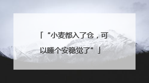 “小麦都入了仓，可以睡个安稳觉了”