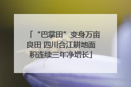 “巴掌田”变身万亩良田 四川合江耕地面积连续三年净增长
