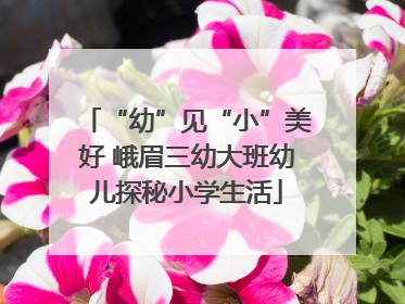 “幼”见“小”美好 峨眉三幼大班幼儿探秘小学生活