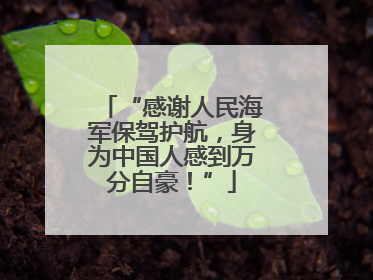 “感谢人民海军保驾护航，身为中国人感到万分自豪！”