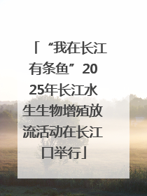 “我在长江有条鱼”2025年长江水生生物增殖放流活动在长江口举行