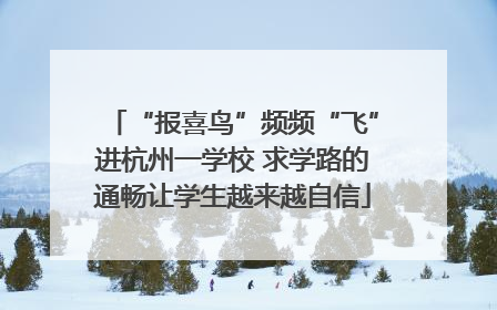 “报喜鸟”频频“飞”进杭州一学校 求学路的通畅让学生越来越自信