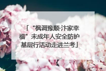 “枫调豫顺·汴家幸福”未成年人安全防护基层行活动走进兰考