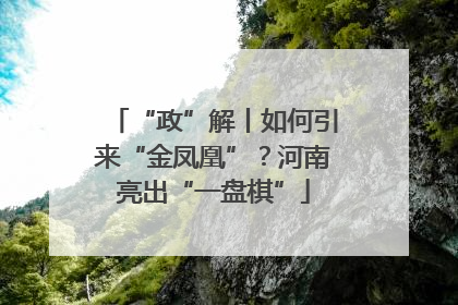 “政”解丨如何引来“金凤凰”？河南亮出“一盘棋”