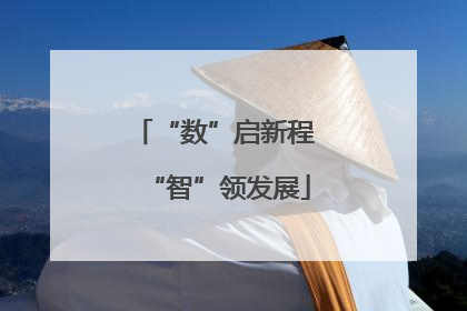“数”启新程 “智”领发展