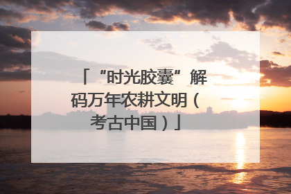 “时光胶囊”解码万年农耕文明（考古中国）