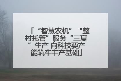 “智慧农机”“整村托管”服务“三夏”生产 向科技要产能筑牢丰产基础