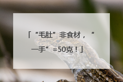 “毛肚”非食材，“一手”=50克！