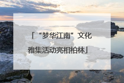 “梦华江南”文化雅集活动亮相柏林