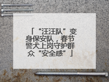“汪汪队”变身保安队，春节警犬上岗守护群众“安全感”