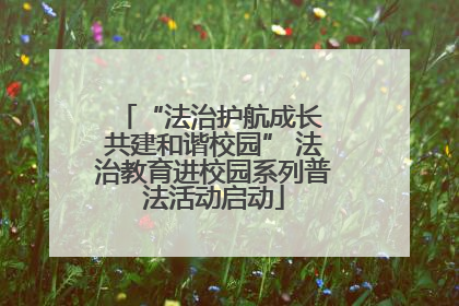 “法治护航成长 共建和谐校园” 法治教育进校园系列普法活动启动