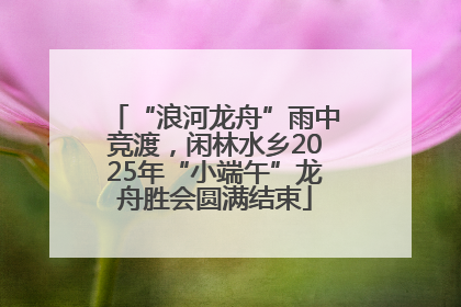 “浪河龙舟”雨中竞渡，闲林水乡2025年“小端午”龙舟胜会圆满结束