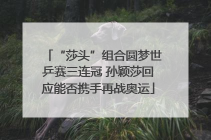 “莎头”组合圆梦世乒赛三连冠 孙颖莎回应能否携手再战奥运