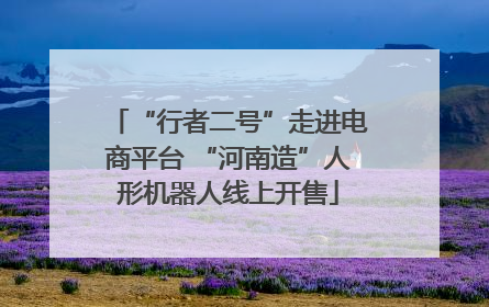 “行者二号”走进电商平台 “河南造”人形机器人线上开售