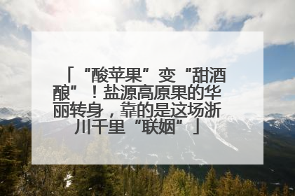 “酸苹果”变“甜酒酿”！盐源高原果的华丽转身，靠的是这场浙川千里“联姻”