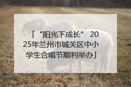 “阳光下成长” 2025年兰州市城关区中小学生合唱节顺利举办
