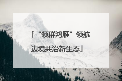 “领群鸿雁”领航边境共治新生态